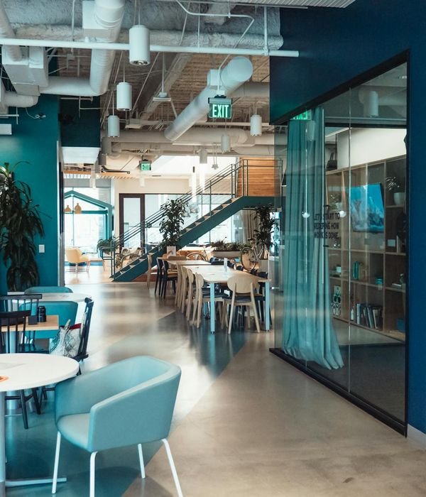 Company director testimonial for digital transformation and business growth